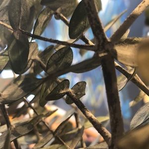 Meet your Posher, Christian